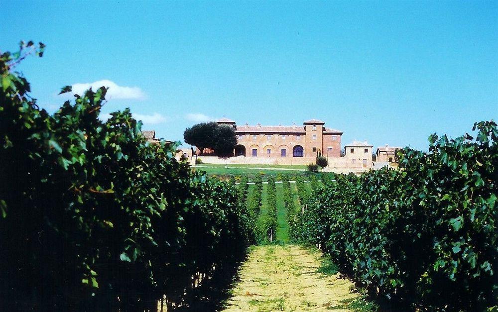 Agriturismo Terra Rossa Valiano Екстериор снимка