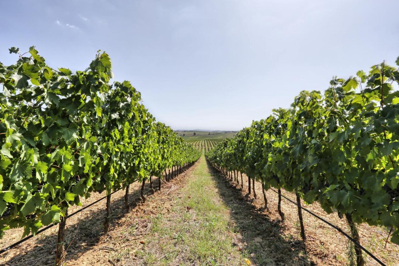 Agriturismo Terra Rossa Valiano Екстериор снимка